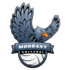 Modrany C